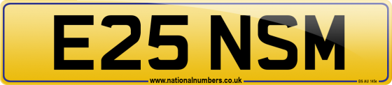 E25 NSM