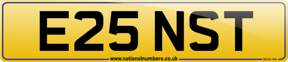 E25 NST