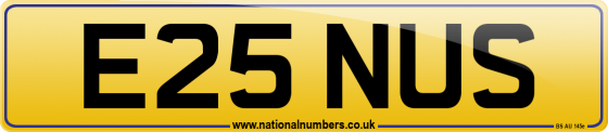 E25 NUS