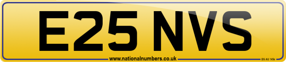 E25 NVS