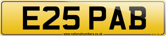 E25 PAB
