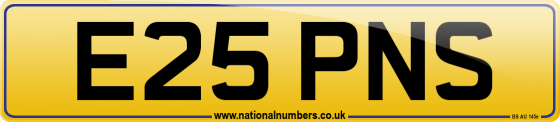 E25 PNS