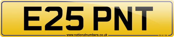 E25 PNT