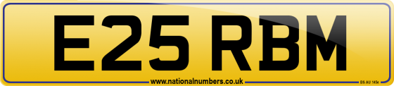 E25 RBM