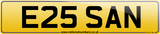 E25 SAN