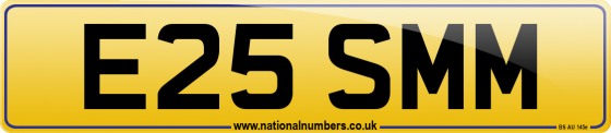 E25 SMM