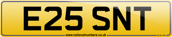E25 SNT