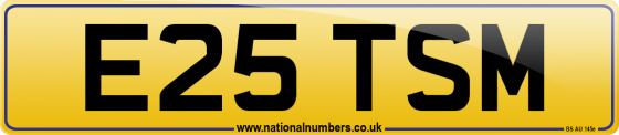 E25 TSM