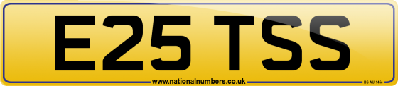 E25 TSS