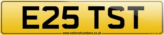 E25 TST