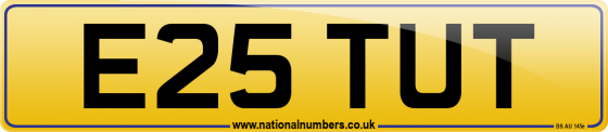E25 TUT
