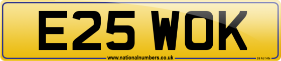 E25 WOK