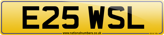 E25 WSL