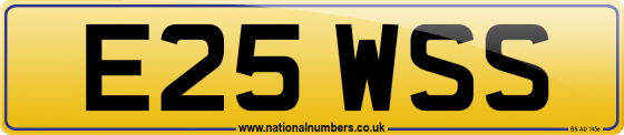 E25 WSS