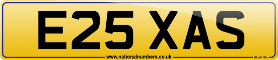E25 XAS