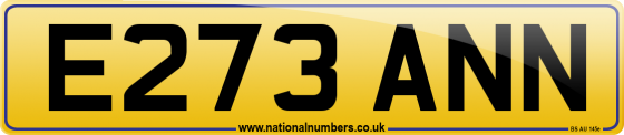 E273 ANN