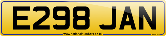 E298 JAN