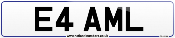 E4 AML