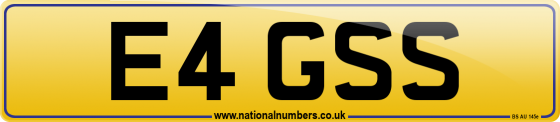 E4 GSS