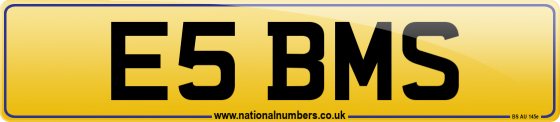 E5 BMS