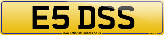 E5 DSS