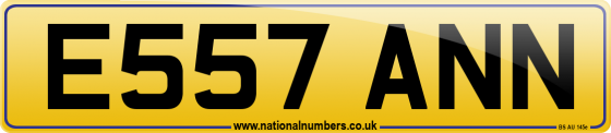 E557 ANN