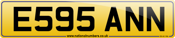 E595 ANN