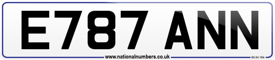 E787 ANN