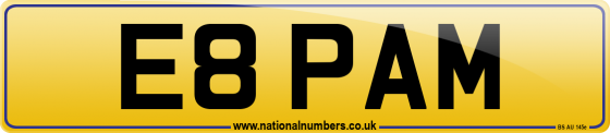 E8 PAM