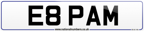 E8 PAM