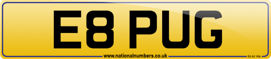 E8 PUG