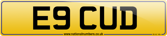 E9 CUD