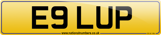 E9 LUP