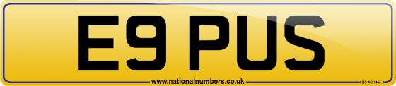E9 PUS