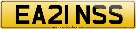 EA21 NSS