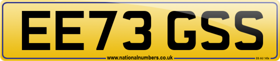 EE73 GSS