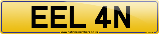 EEL 4N