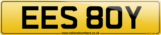 EES 80Y