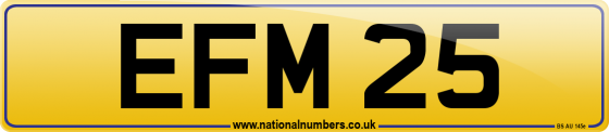EFM 25