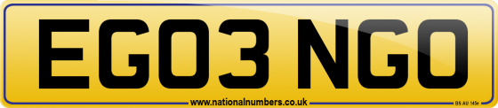 EG03 NGO