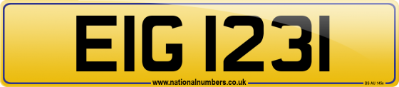 EIG 1231