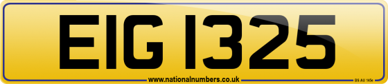 EIG 1325