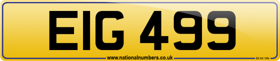 EIG 499