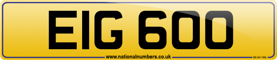 EIG 600