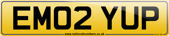 EM02 YUP