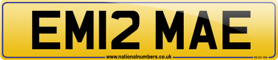 EM12 MAE