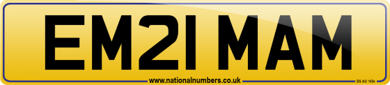 EM21 MAM
