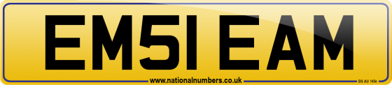 EM51 EAM
