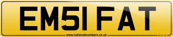 EM51 FAT
