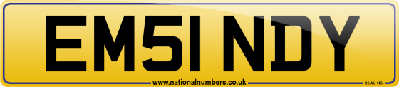 EM51 NDY